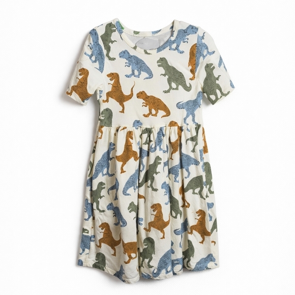 Pink Chicken Other - Pink Chicken Girls Dinosaur Print Dress Size 4